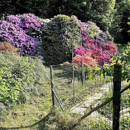 La Casa Di Anna Turin